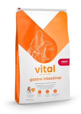 4:vital gastro intestinal Unterstützt die Verdauung