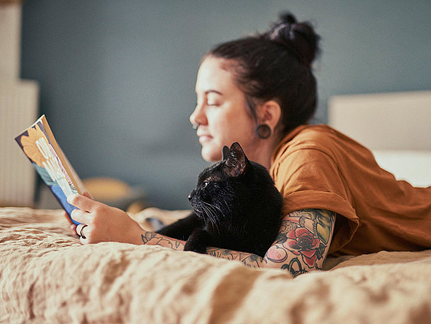 mera Ratgeber- Katze kaufen mera Ratgeber- Katze kaufen