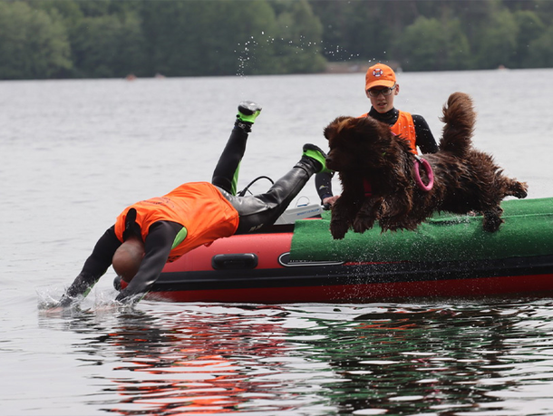 mera Petfood Hunderatgeber - Wasserrettung mit Hunden