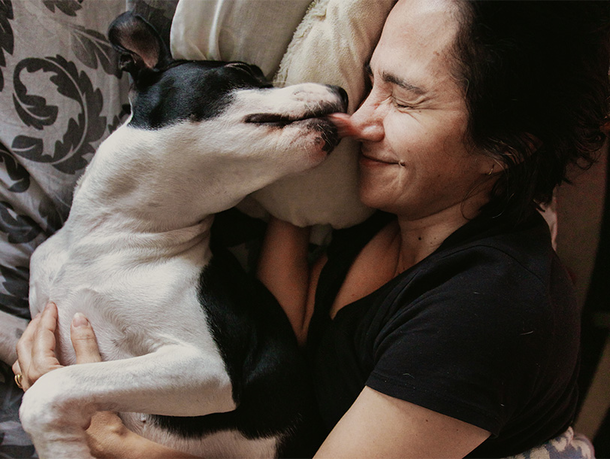 mera Ratgeber Hundeliebe