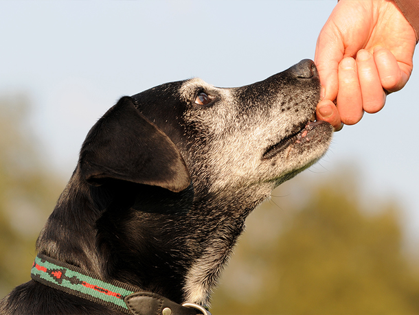 [Translate to English:] 