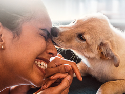 mera Ratgeber Hundennamen mera Ratgeber Hundennamen