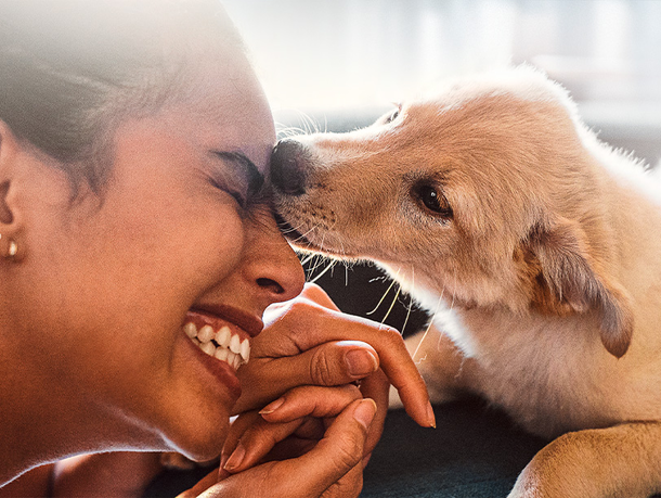 mera Ratgeber Hundennamen mera Ratgeber Hundennamen