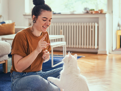 mera Ratgeber Katzenerziehung