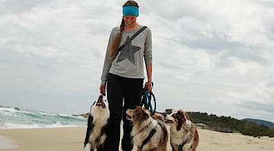 The Petfood Family Podcast Folge 108 Teaserbild The Petfood Family Podcast Folge 108 Teaserbild