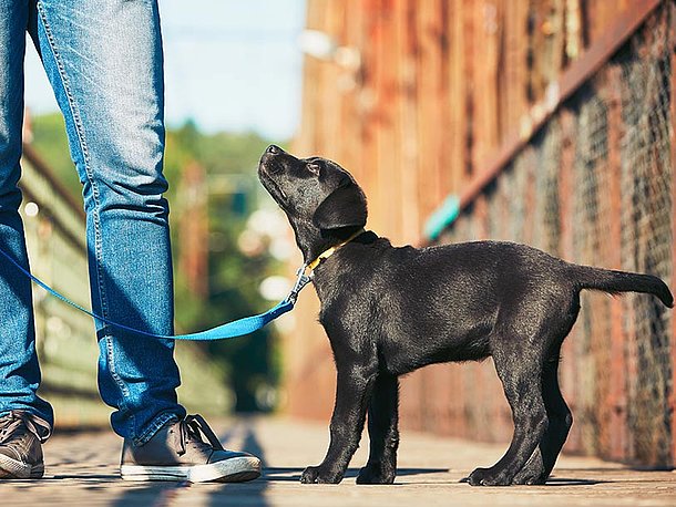 Distanztreining, was ist zu beachten