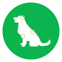 mera vital Anwendungsgebiete mera vital Anwendungsgebiete