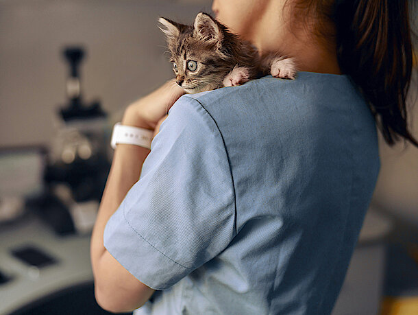 Kitten bei Arzthelferin auf dem Arm