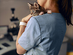 Kitten bei Arzthelferin auf dem Arm