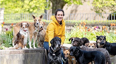 The Petfood Family Podcast Ursula Loeckenhoff