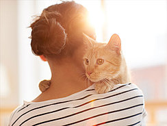 Kranke Katze auf dem Arm Kranke Katze auf dem Arm