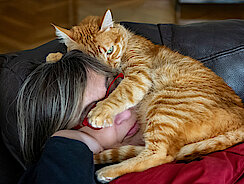 Katze liegt bei Frau im Gesicht 