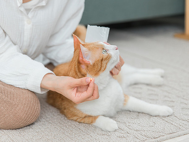 mera Petfood Katzenratgeber - Diabetes bei Katzen