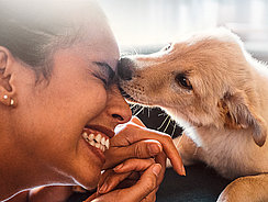 mera Petfood Family - Hunderatgeber Welpe beißt mera Petfood Family - Hunderatgeber Welpe beißt