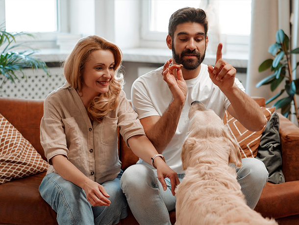 mera Petfood - Hundeerziehung in der Partnerschaft