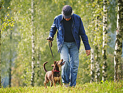 mera Petfood Hunderatgeber - Hundespaziergänge mera Petfood Hunderatgeber - Hundespaziergänge