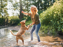 Hund macht mit einer Frau Tricks im Wasser