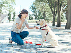 mera Petfood Family - Hunderatgeber Assistenzhunde