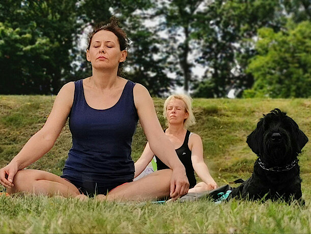 Hund macht mit Frauchen Yoga Hund macht mit Frauchen Yoga