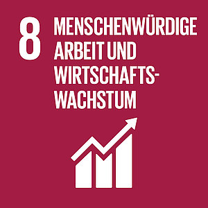 mera Icon MENSCHENWÜRDIGE ARBEIT UND WIRTSCHAFTSWACHSTUM