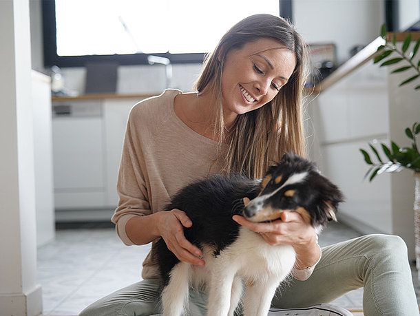 Welpe zieht ins Haus ein 