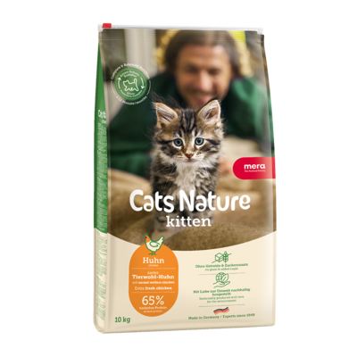 Kitten Huhn