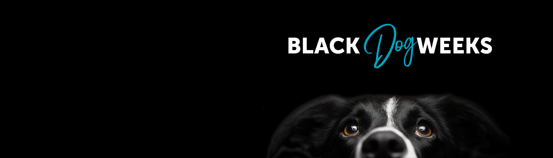 Black Dog Week Ankündigungsslider