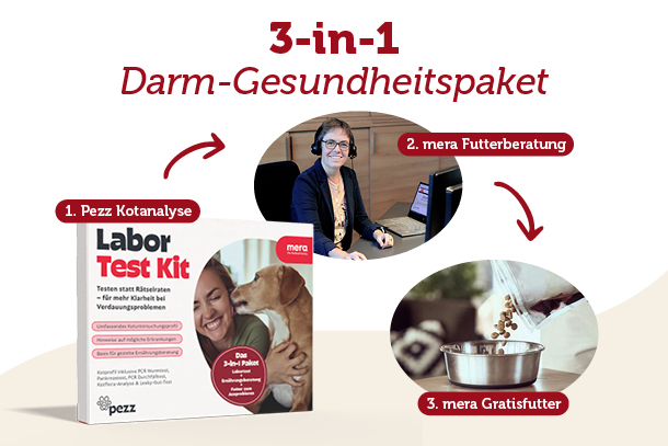 mera x Pezz Kooperation Newsbanner