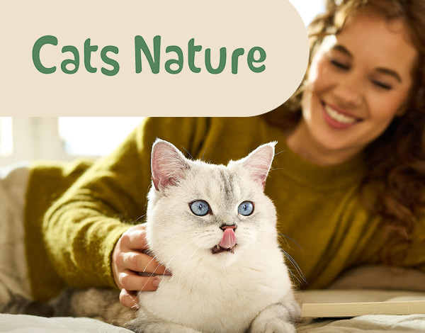 Cats Nature Teaser Cats Nature Teaser