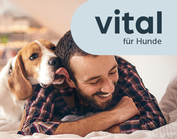 Teaser vital Futter für Hunde Teaser vital Futter für Hunde
