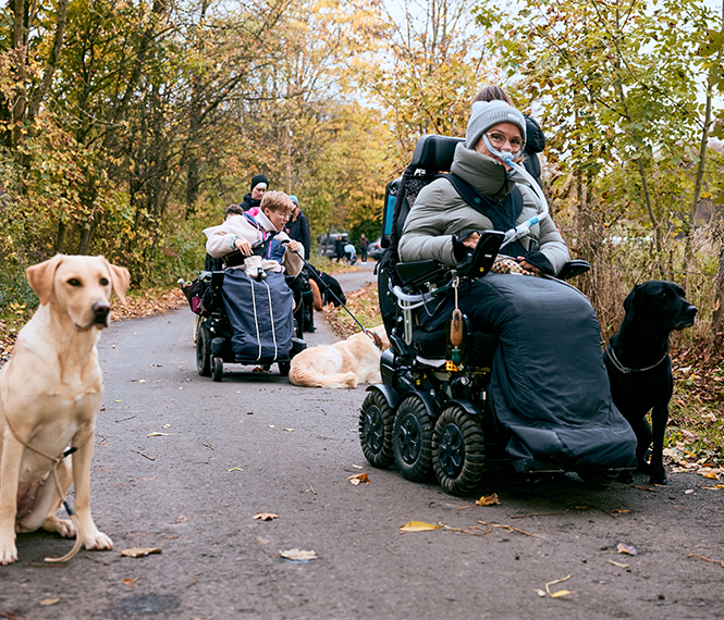 Vita Assistenzhund mit Rollstuhlfahrern