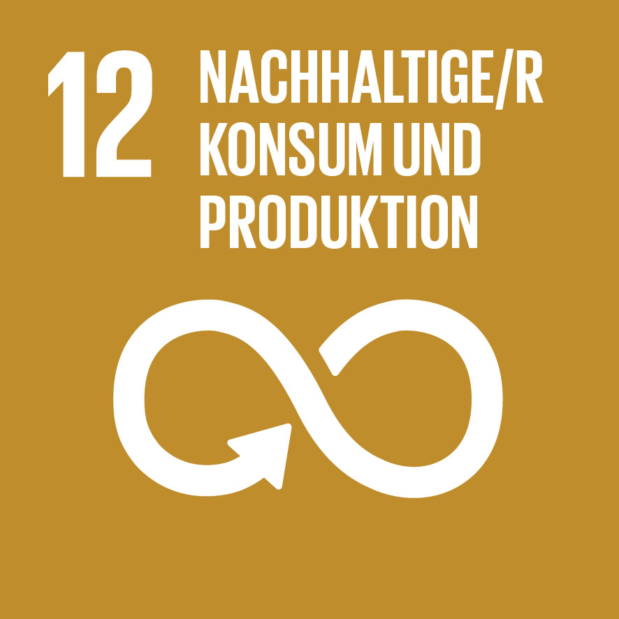 mera Icon NACHHALTIGE/R KONSUM UND PRODUKTION mera Icon NACHHALTIGE/R KONSUM UND PRODUKTION