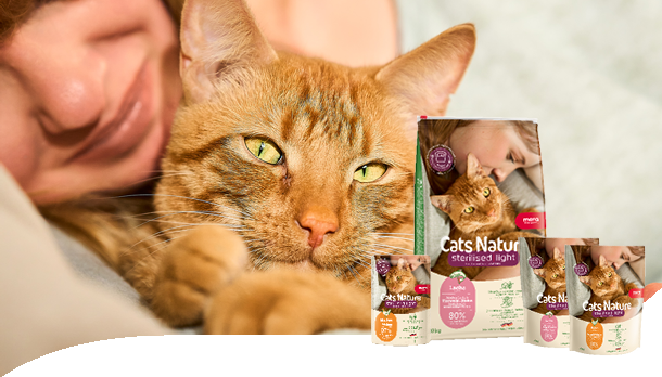 Cats Nature Realstory Teaser Uta & Pumpkin Cats Nature Realstory Teaser Uta & Pumpkin