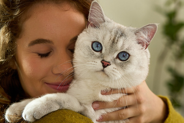 Elena und ihre Katze Marly - Teaser Elena und ihre Katze Marly - Teaser