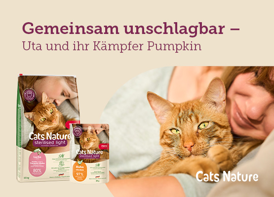 Uta und ihre Katze Pumpkin - Headerbild Uta und ihre Katze Pumpkin - Headerbild