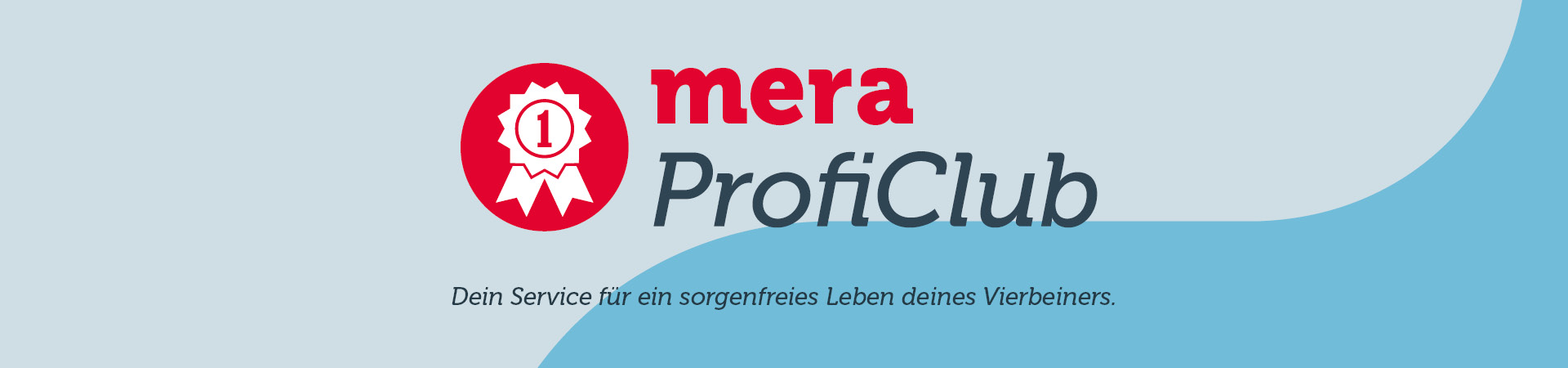 mera Profi Service Ansprechpartner