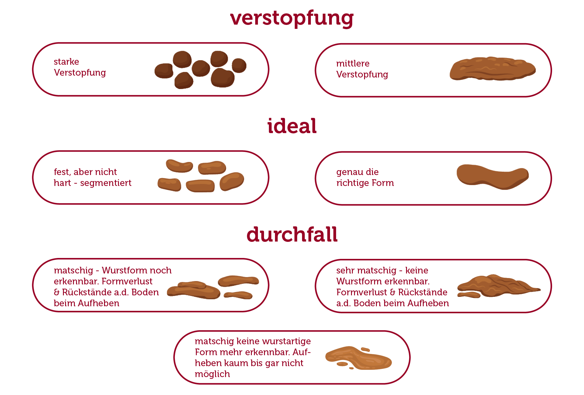 Skizze verschiedener Hundekotarten Skizze verschiedener Hundekotarten