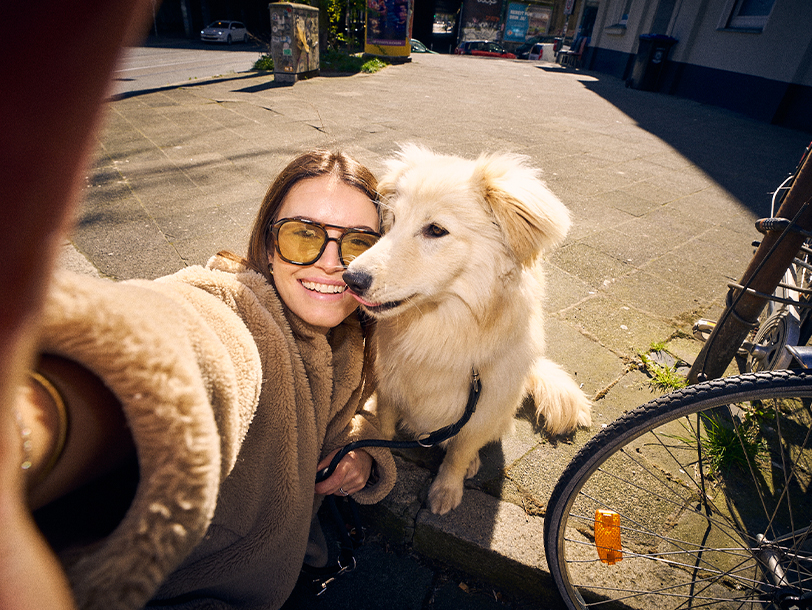 mera Petfood Hunderatgeber - Hundebetreuung