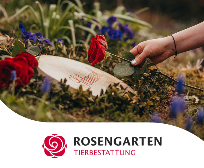 mera Ratgeber Rosengarten