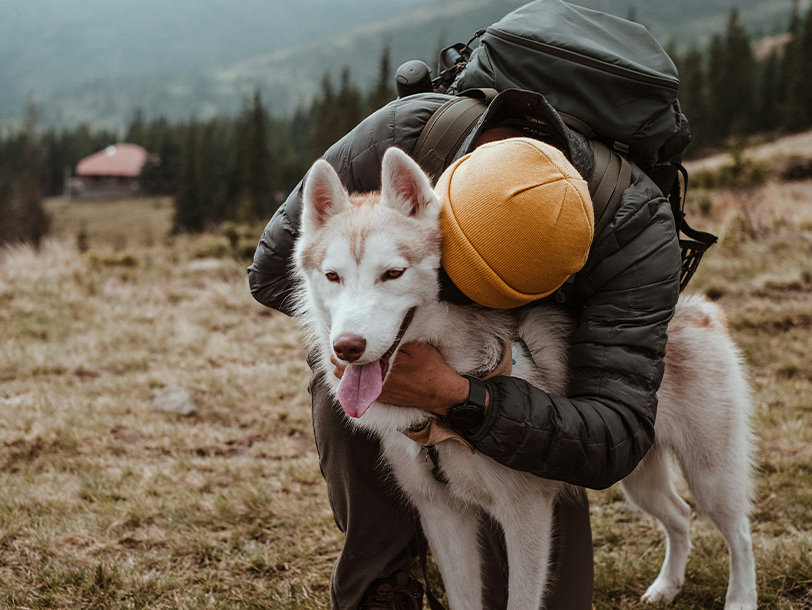 gleitgel zutaten Dein Hund springt über den Zaun? Das hilft!