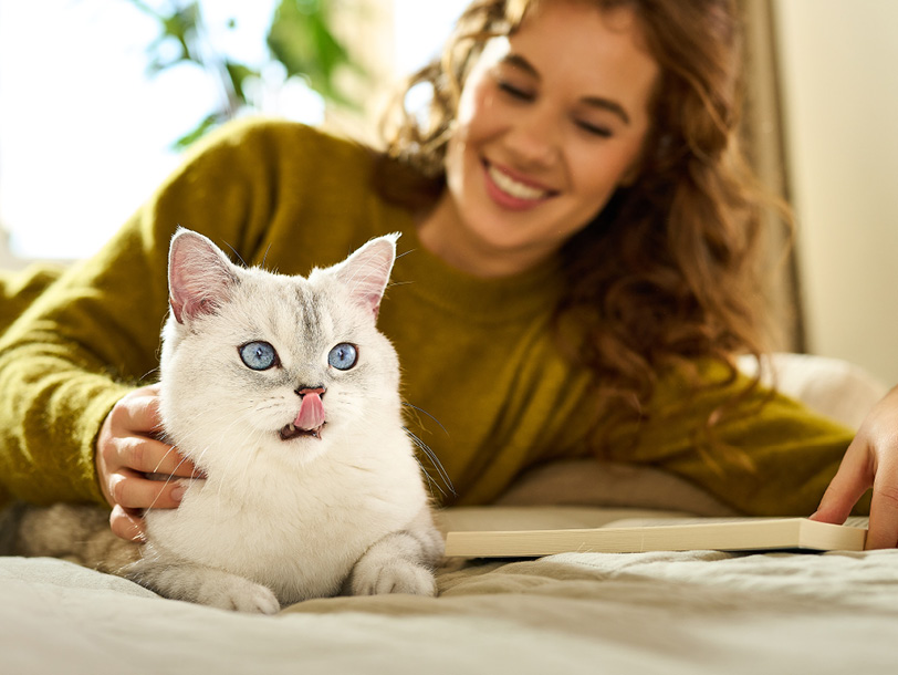 Katze mit junger Frau auf einer Decke und die Katze leckt sich den Mund Katze mit junger Frau auf einer Decke und die Katze leckt sich den Mund