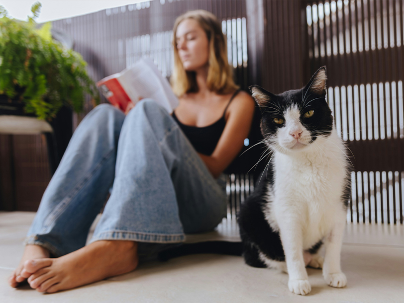 Katze liegt bei Frau im Gesicht Katze liegt bei Frau im Gesicht