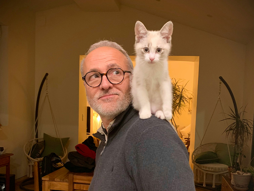 Kitten steht bei Mann auf der Schulter