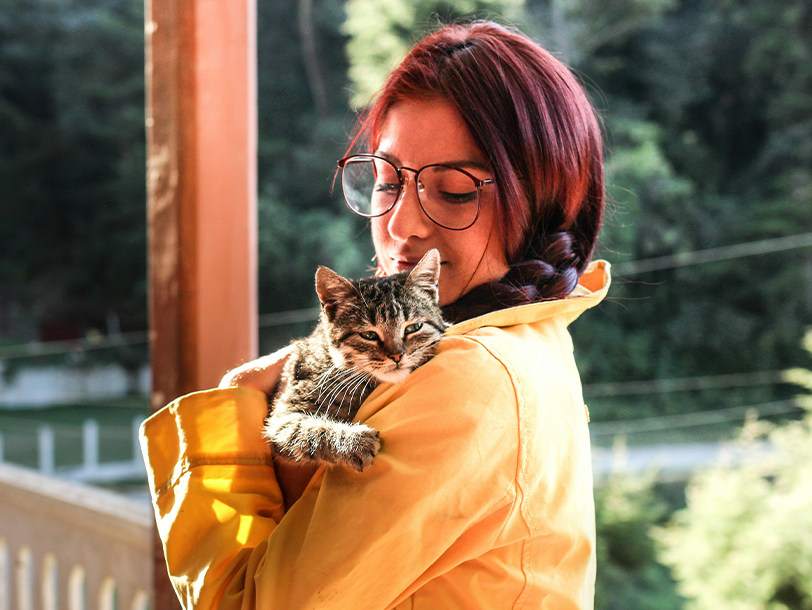 Kranke Katze auf dem Arm einer Frau 