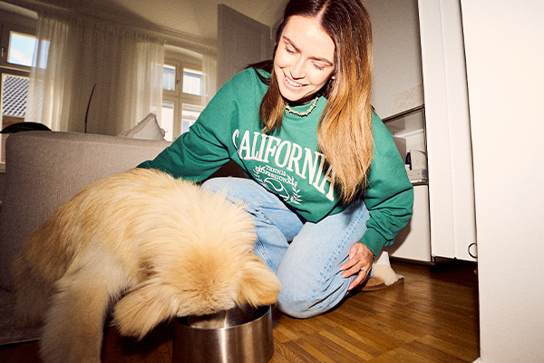 Hund mit Kopf im Futternapf und Frauchen im Hintergrund