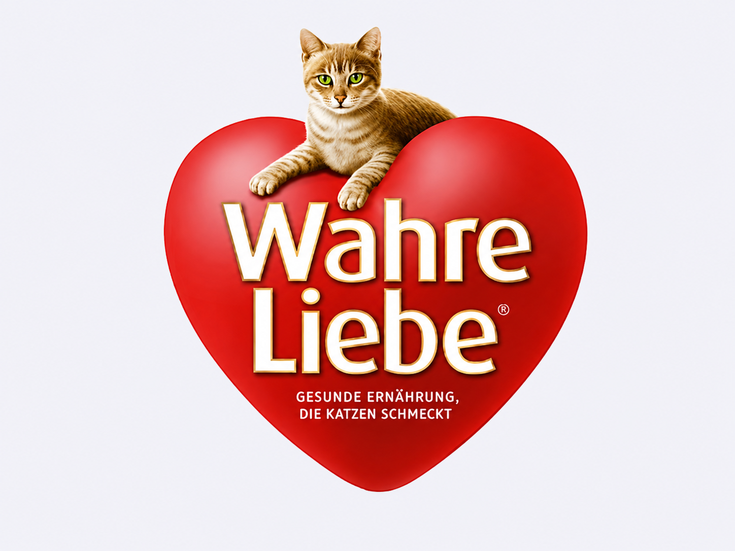 Rotes Herz mit einer Katze die auf dem herz liegt