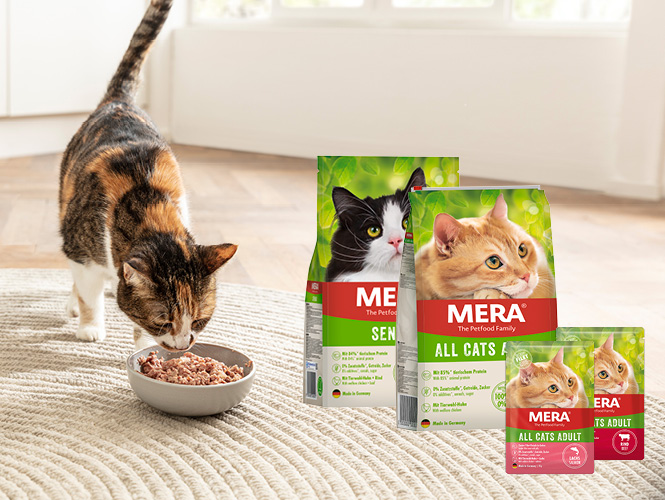 mera Cats Produktfoto