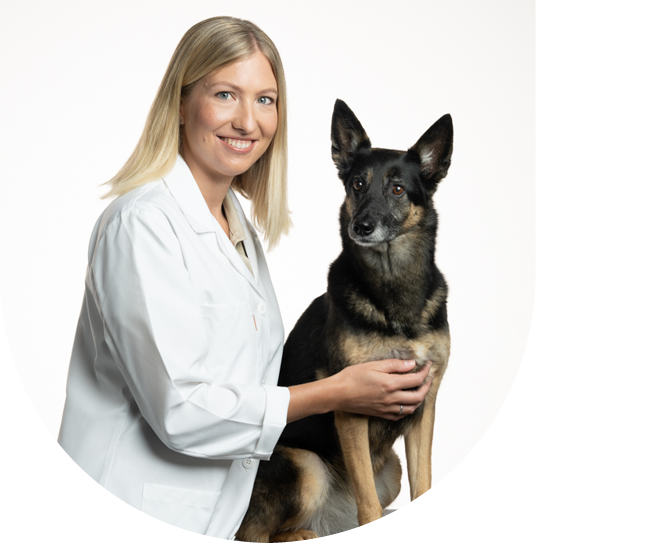 Foto der Tierärztin L. Gotthardt mit einem Hund Foto der Tierärztin L. Gotthardt mit einem Hund