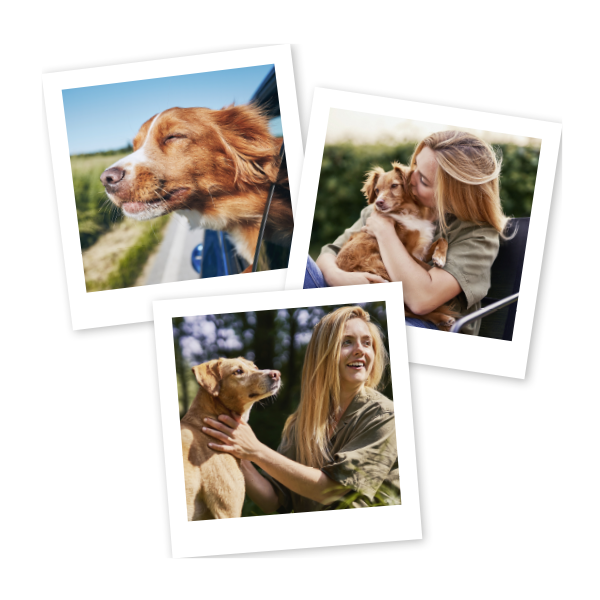 Polaroid Bilder von einem Hund mit Frauchen Polaroid Bilder von einem Hund mit Frauchen