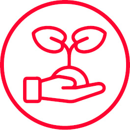 Pflanze in Hand Icon